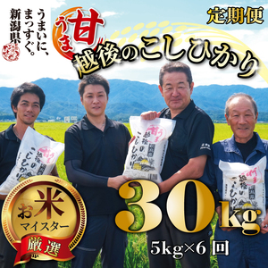 新潟産 コシヒカリ 定期便 5kg 6ヵ月 30kg 甘うま越後のこしひかり コシヒカリ定期便 米定期便 玄米定期便 精米定期便 こしひかり定期便  toushin00801