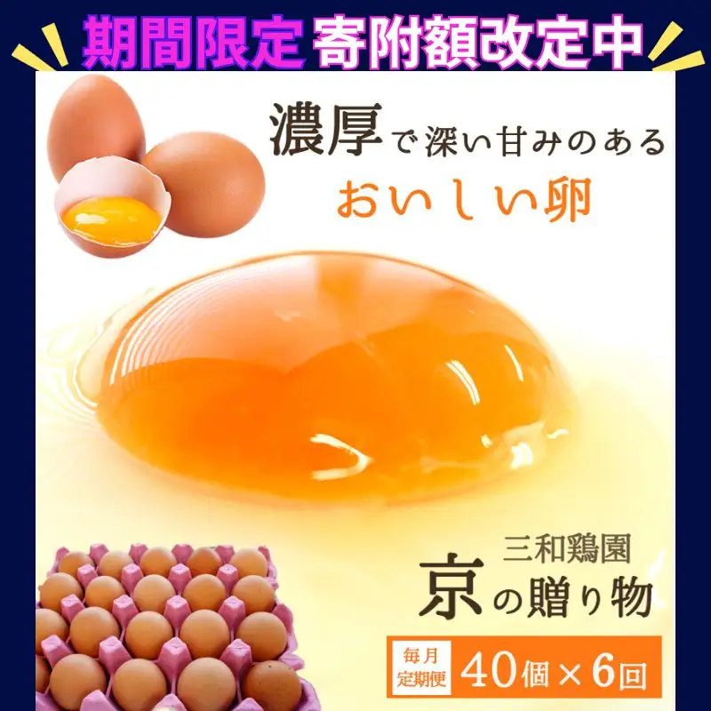 【定期便6か月】 卵 赤たまご 240個 ： 40個×6回 【配送不可地域：北海道、沖縄、離島】