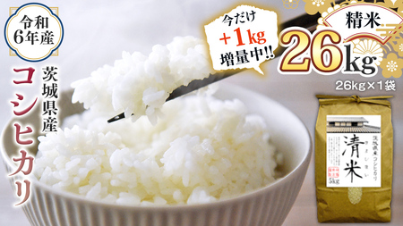 【1kg増量中】 令和6年産 茨城県産 精米 コシヒカリ 26kg（26kg×1袋） 通常25kgのところ1kg増量中！ 白米 清米 キヨシマイ こしひかり 米 コメ こめ 単一米 限定 茨城県産 国産 美味しい お米 おこめ おコメ