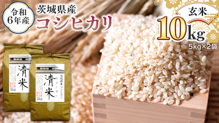 令和6年産 茨城県産 玄米 コシヒカリ 10kg （5kg×2袋） 清米 キヨシマイ こしひかり 米 コメ こめ 単一米 限定 茨城県産 国産 美味しい お米 おこめ おコメ