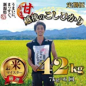 コシヒカリ 定期便 7kg 6ヵ月 42kg 甘うま越後のこしひかり コシヒカリ定期便 米定期便 玄米定期便 精米定期便 コシヒカリ toushin01001
