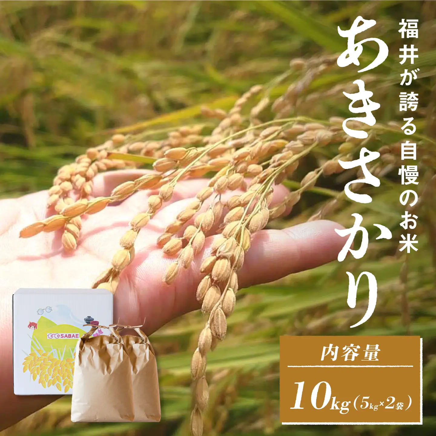 令和7年産  あきさかり　通常便（1回配送）計10kg（5kg×2袋）