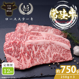 【茨城県共通返礼品】【定期便特別価格】【12回定期便】最高級A4.A5ランク 常陸牛ロースステーキ750ｇ（250g×3）×12回【人気肉 お肉 牛肉 和牛 黒毛和牛 国産黒毛和牛 ロース肉 ステーキ 国産牛 焼肉 焼き肉 バーベキュー BBQ A5 ブランド牛】(CR112)