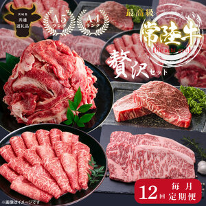 【茨城県共通返礼品】【定期便特別価格】【12回定期便】最高級A4.A5ランク 常陸牛贅沢セット【人気肉 お肉 牛肉 和牛 黒毛和牛 国産黒毛和牛 ロース肉 ステーキ 国産牛 焼肉 焼き肉 バーベキュー BBQ A5 ブランド牛】（CR114）