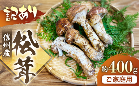 G-3　信州産「松茸」400g ご家庭用 訳あり品