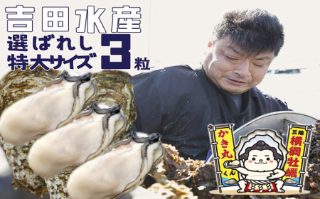 【先行予約】横綱牡蠣！吉田水産の選ばれしむき身牡蠣 特大サイズ 3粒 数量限定