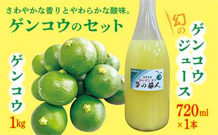 【数量限定】幻の ゲンコウ ジュース 1本 + ゲンコウ 1kg _b-420