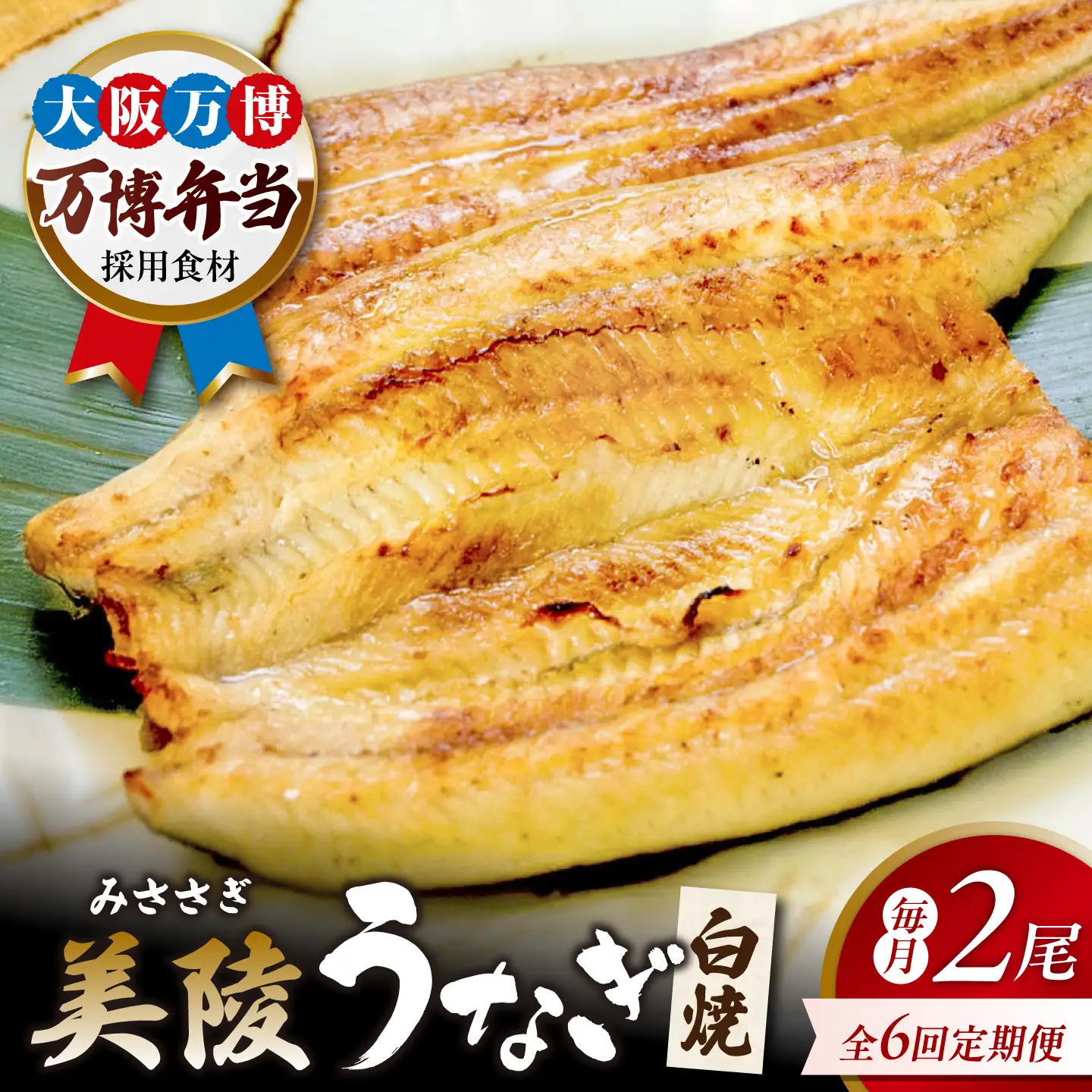 【全6回】鰻 鰻の白焼 2尾 BLAM009