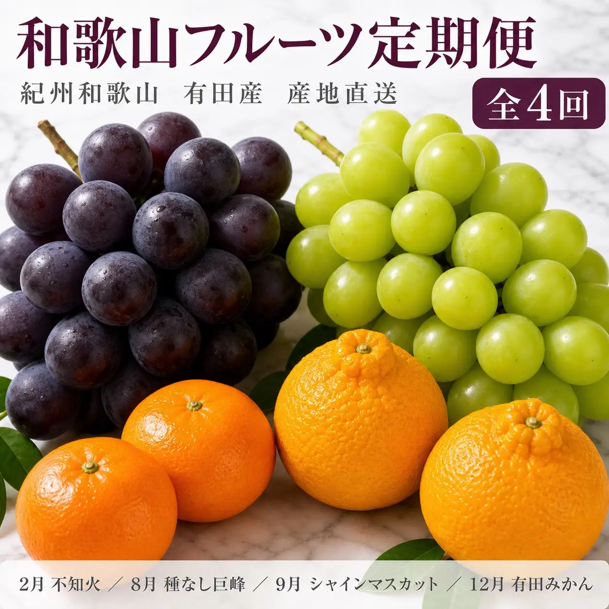 【2・8・9・12月 全4回】紀州和歌山産旬のフルーツセット（巨峰・シャインマスカット・みかん・不知火） 定期便
