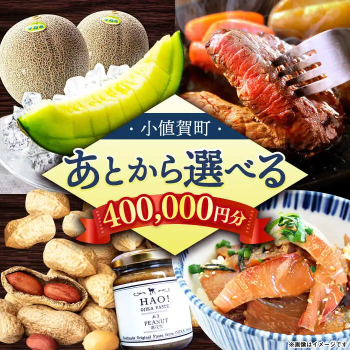 【あとから選べる】町 ふるさとギフト 40万円分 先に寄附 40万円 400000円 長崎県  [DYZ013]