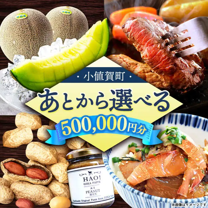 【あとから選べる】町 ふるさとギフト 50万円分 先に寄附 50万円 500000円 長崎県  [DYZ014]