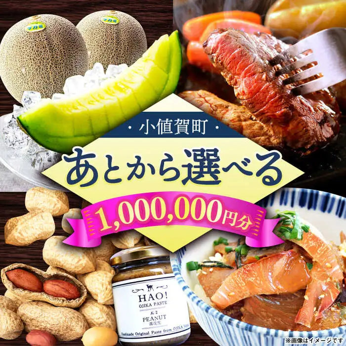 【あとから選べる】町 ふるさとギフト 100万円分 先に寄附 100万円 長崎県  [DYZ015]