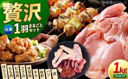 冷凍鶏肉 一黒シャモ  約1kg 鶏肉[XAH004]
