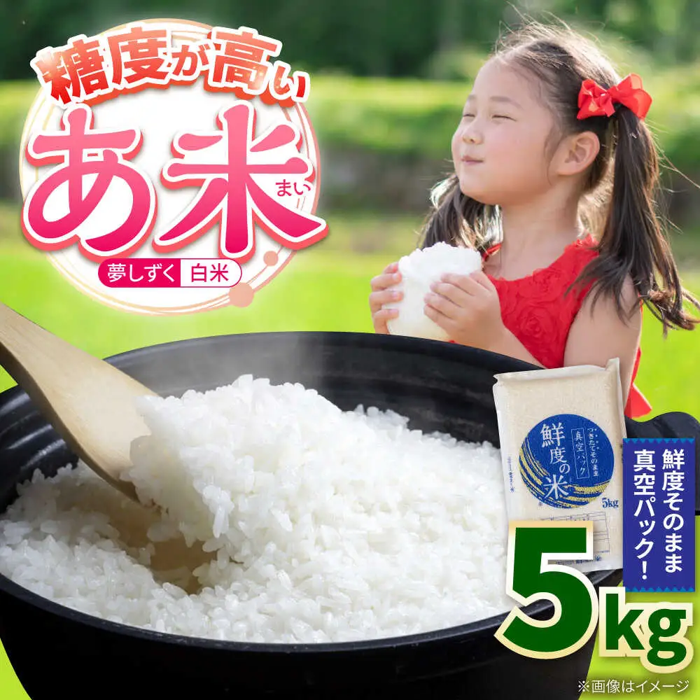 夢しずく 白米 5kg 真空 /有限会社イッツデモ [UDZ001] お米 真空