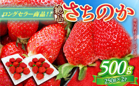【2027年1月以降順次発送】さちのか 500g（250g×2パック） / 佐賀県 / リフルット株式会社 [41ABAA007]