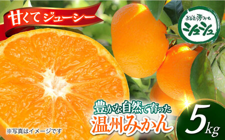 【2026年11月上旬より順次発送】みかん 5kg　/ みかん 果実 柑橘 / 大村市 / おおむら夢ファームシュシュ [ACAA377]