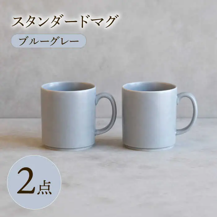 【波佐見焼】 スタンダードマグ ブルーグレー 2点セット 【西海陶器】[OA403]