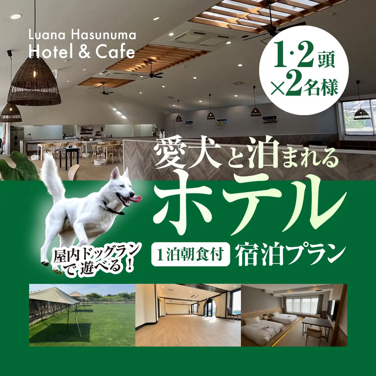 愛犬と泊まれるホテル Luana Hasunuma HOTEL&CAFE 1泊朝食付宿泊プラン（2頭･2名様）／ホテル 宿泊 カフェ  愛犬と一緒に泊まれる ペットと泊まれる宿 ドッグラン 愛犬 犬 小型犬 中型犬 自然 蓮沼海岸 千葉県 千葉県山武市 SMCD001