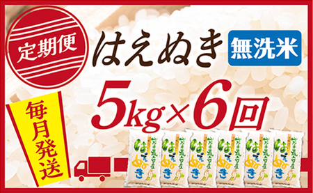 【定期便】【無洗米】令和8年産予約 山形県産 はえぬき 5kg (5kg×1) 6回配送　【初回R9年1月発送】