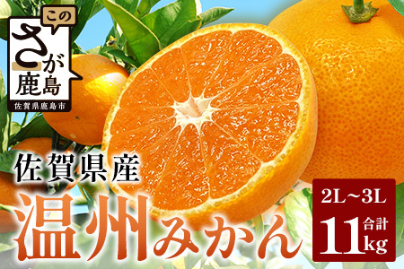 佐賀県産 温州みかん（2L～3L混載）大玉みかん サイズ指定不可【2026年11月下旬～1月上旬頃発送予定】｜果物 フルーツ 温州みかん 大玉 柑橘 国産 九州産 人気 甘い 佐賀産 鹿島産 B-802