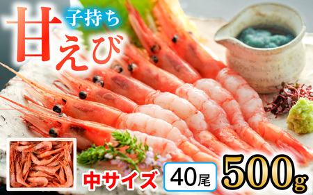 子持ち甘えび  約40尾×1箱（500g） [BFAA048] 【配送不可地域：北海道・沖縄・離島】 