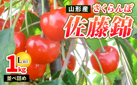 山形産 さくらんぼ佐藤錦 特秀 1kg 並べ詰め L以上 【令和9年産先行予約】FS26-667