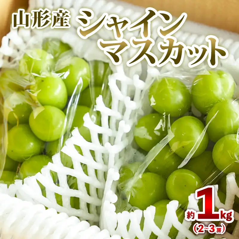 山形産 シャインマスカット 約1kg (2～3房) 秀品 【令和8年産先行予約】FS25-606 くだもの 果物 フルーツ 山形 山形県 山形市 2026年産