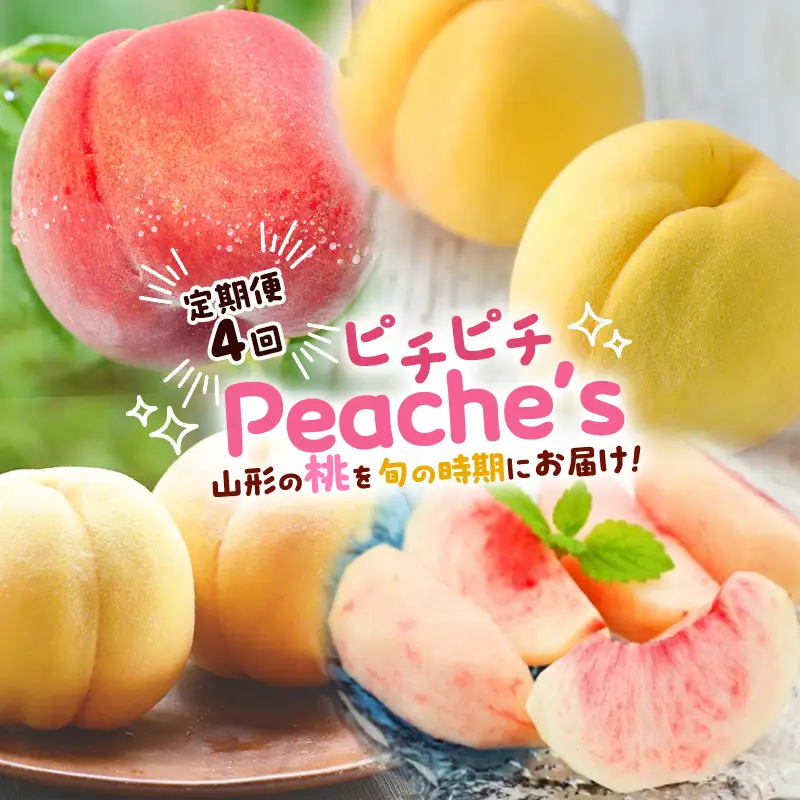 【定期便4回】ピチピチPeache's 【令和8年産先行予約】FS24-742 くだもの 果物 フルーツ 山形 山形県 山形市 2026年産