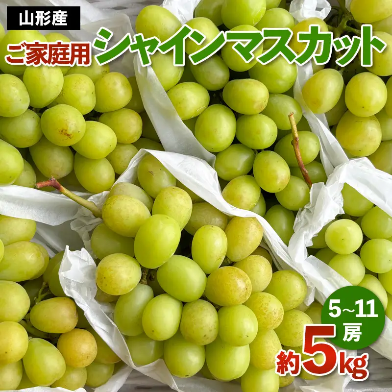 [ご家庭用]山形産 シャインマスカット 約5kg (5房～11房） 【令和8年産先行予約】FS24-749 くだもの 果物 フルーツ 山形 山形県 山形市 2026年産