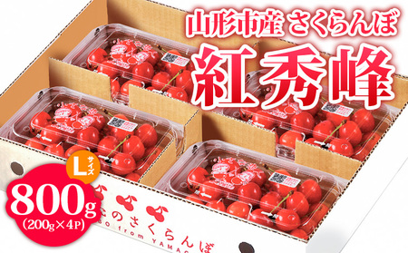 山形市産 さくらんぼ【紅秀峰】 Lサイズ 800g(200g×4P) 【令和9年産先行予約】FS24-755