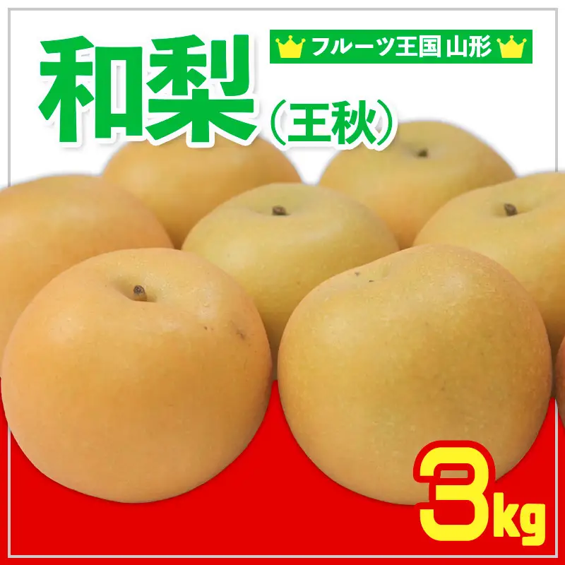 ☆フルーツ王国山形☆和梨 (王秋) 秀品 3kg【令和8年産先行予約】FS24-777 くだもの 果物 フルーツ 山形 山形県 山形市 2026年産