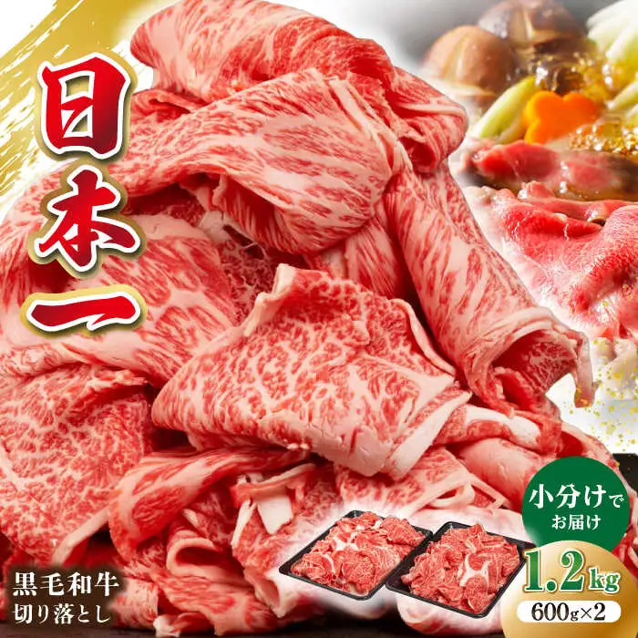 長崎県産黒毛和牛切り落とし 1.2kg（600×2）《壱岐市》【弥川畜産】 冷凍配送 肉 牛肉 スライス 和牛 すき焼き 牛丼 贈答 プレゼント 小分け [JGF002]