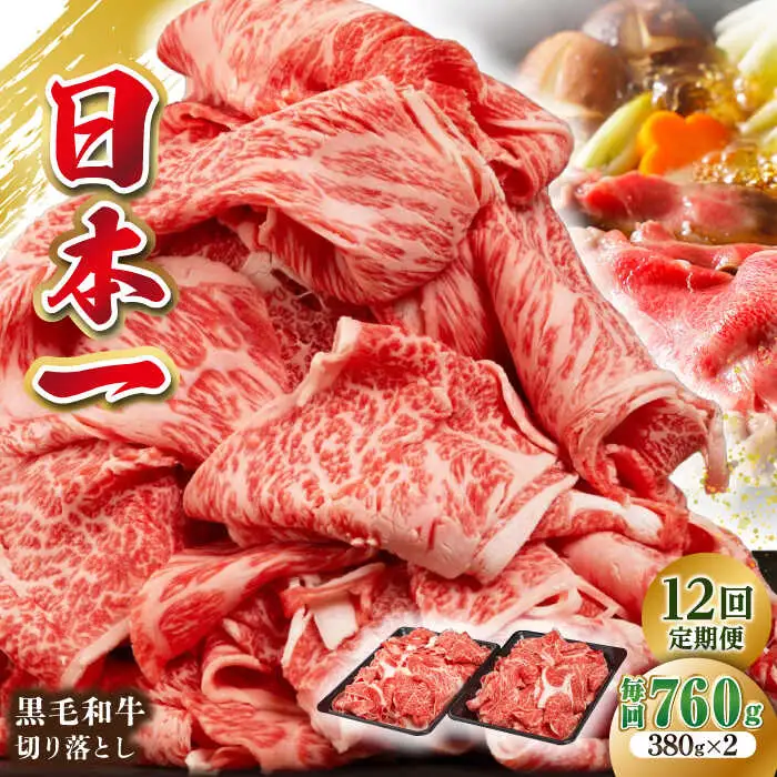 【全12回定期便】長崎県産黒毛和牛切り落とし 760g（380×2）《壱岐市》【弥川畜産】 冷凍配送 肉 牛肉 スライス 和牛 すき焼き 牛丼 贈答 プレゼント 小分け [JGF007]