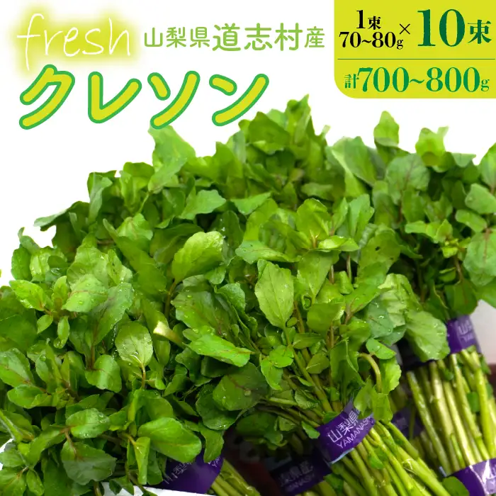【産地直送】朝摘み新鮮！道志村産クレソン 10束（700～800g） DSAA002 【期間限定】