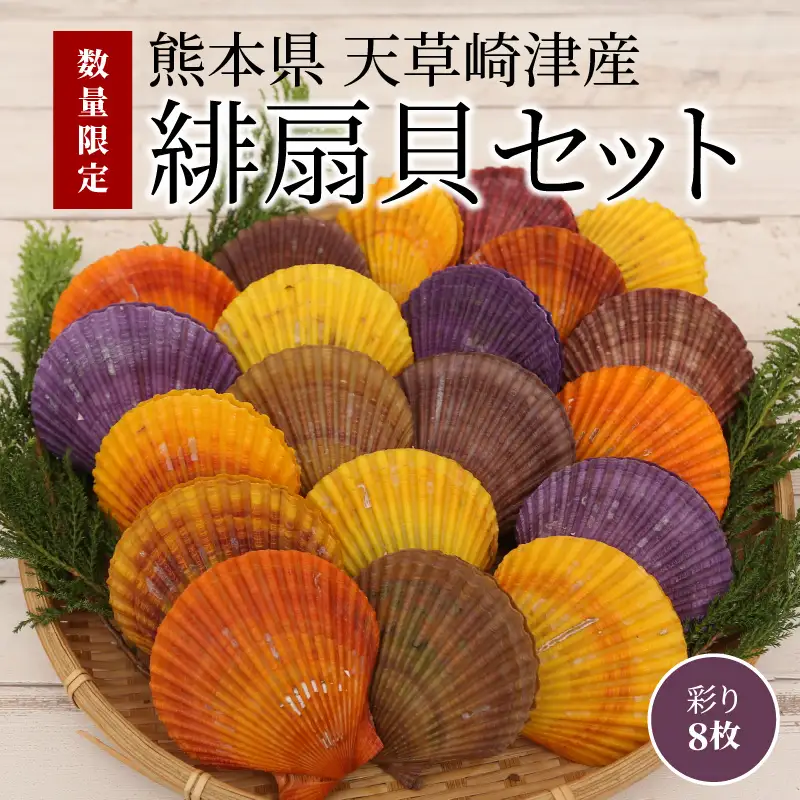 S021-005_熊本県天草崎津産 緋扇貝(ひおうぎがい) 彩り 8枚
