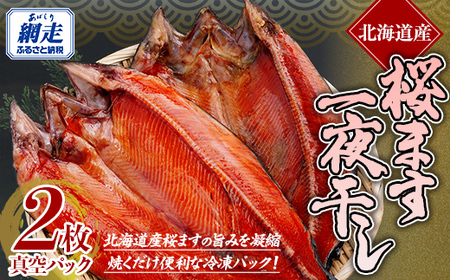 桜ます一夜干し 【 ふるさと納税 人気 おすすめ ランキング サクラマス 桜マス さくらます さくら鱒 鱒 ます一夜干し 干物 一夜干し 一夜 開き 魚 2枚 北海道産 お手軽 簡単 おかず ギフト 贈答 贈り物 家庭用 冷凍 絶品 オホーツク 北海道 網走市 送料無料 】 ABE089