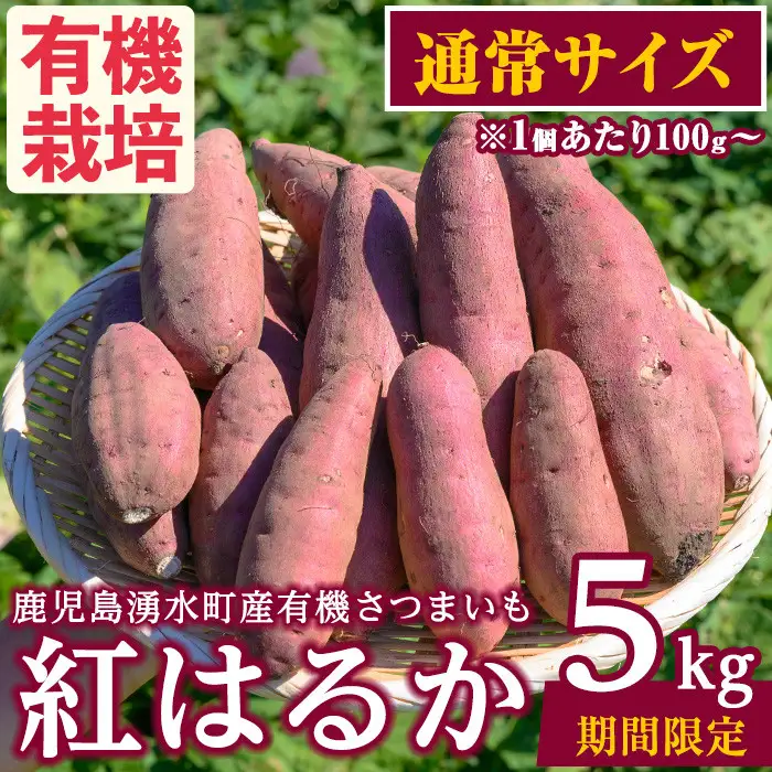 さつまいも 紅はるか 5kg サツマイモ 通常サイズ 有機 【そのやま農園】_y329-C