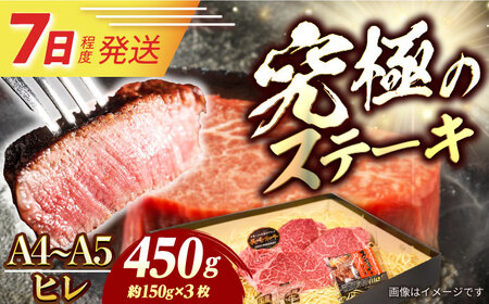 【お中元対象】7日発送) 長崎和牛 ヒレステーキ 450g[ECS033] ヒレ