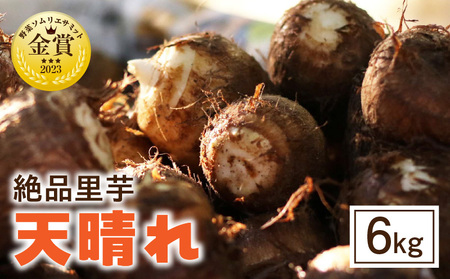 絶品里芋　～天晴れ～　6kg・S068-170