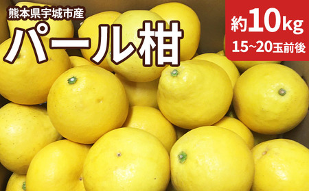 令和8年熊本地震復興支援 先行予約 熊本県宇城市産 パール柑 約10kg 【2027年3月上旬から4月上旬発送予定】文旦 柑橘 フルーツ 果物 果実 みかん 蜜柑 ミカン