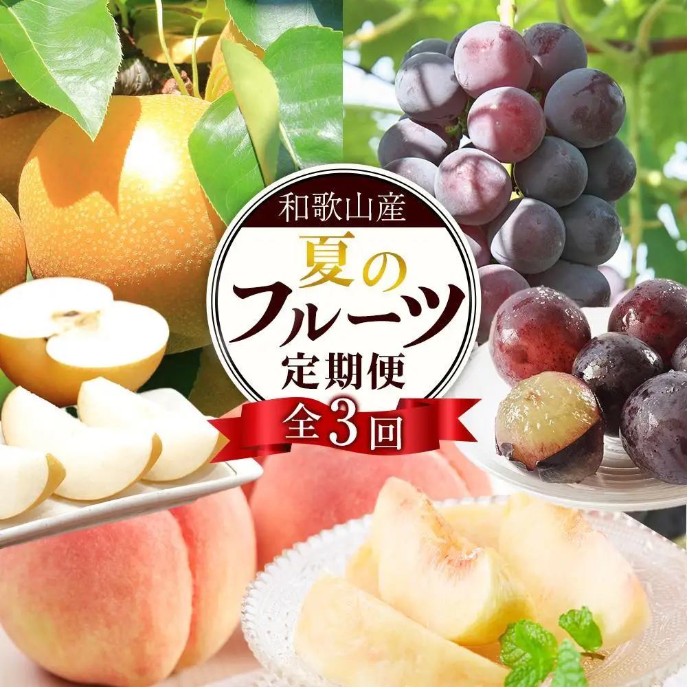 定期便全3回 【7月・8月・9月発送】 和歌山の夏のフルーツをお届け（桃・梨・たねなしピオーネ）【TM179】
