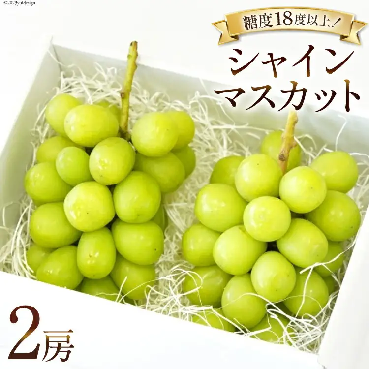 【2026年発送】ぶどう  シャインマスカット 予約 約 500g 2房  計約 1kg