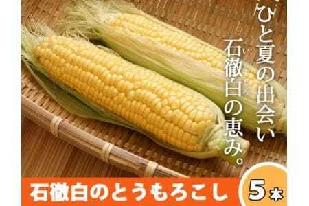 いとしろトウモロコシ　5本入り×2箱