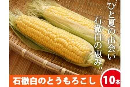 いとしろトウモロコシ　10本