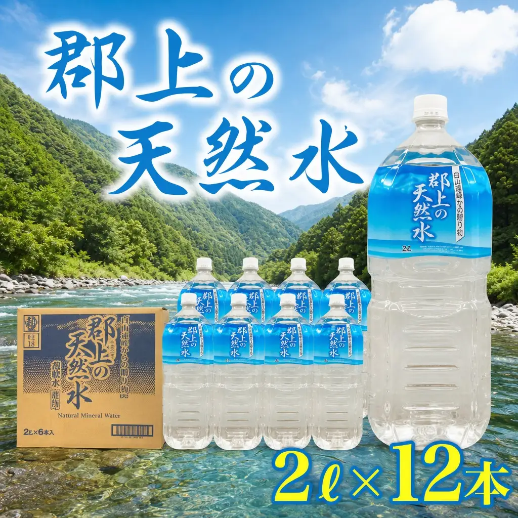 【ふるなび限定】郡上の天然水 2L×6本入×2箱　防災 備蓄 災害 防災グッズ ストック 長期保存　FN-Limited-PR