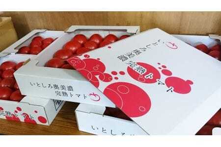 完熟いとしろトマト麗夏　4kg入り×2箱