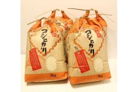 郡上産こしひかり（10㎏ずつ2回）