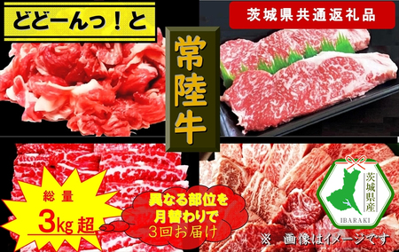 【3か月定期便】【常陸牛】どどーんっ！と常陸牛【月替わりで異なる部位が届く定期便】 計3回 総重量約３kg超え（茨城県共通返礼品）【常陸牛　茨城県産　日立市】