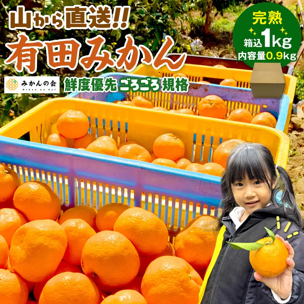 有田みかん 訳あり みかん 約0.9kg  和歌山県産