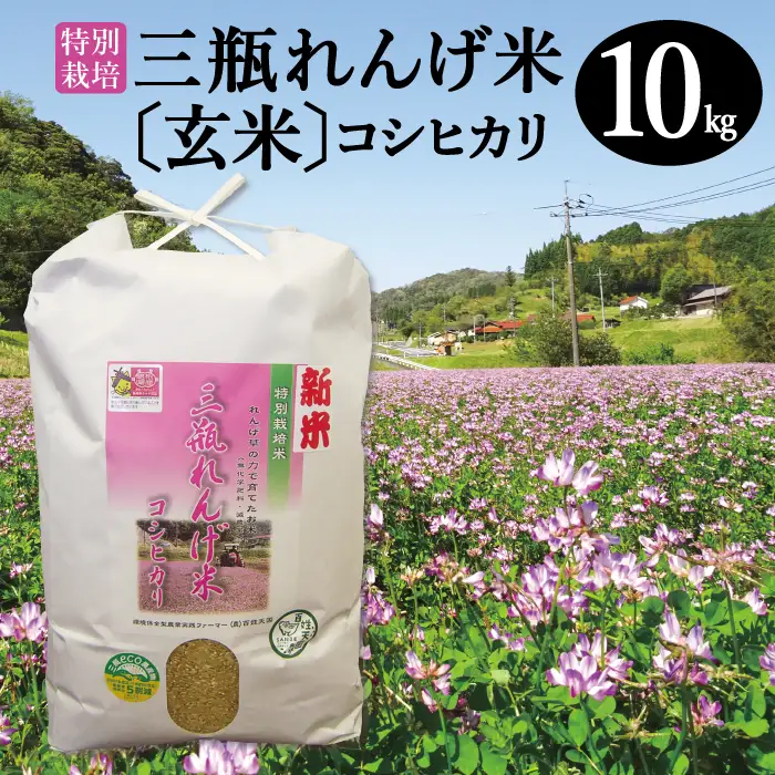 〈玄米〉特別栽培 三瓶れんげ米 コシヒカリ 10kg【令和6年産 お米 玄米 10kg こしひかり 2024年産 特別栽培米 1等米 無化学窒素肥料 減農薬米】